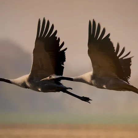 Strandhaus / Eg-fewo Apartment *